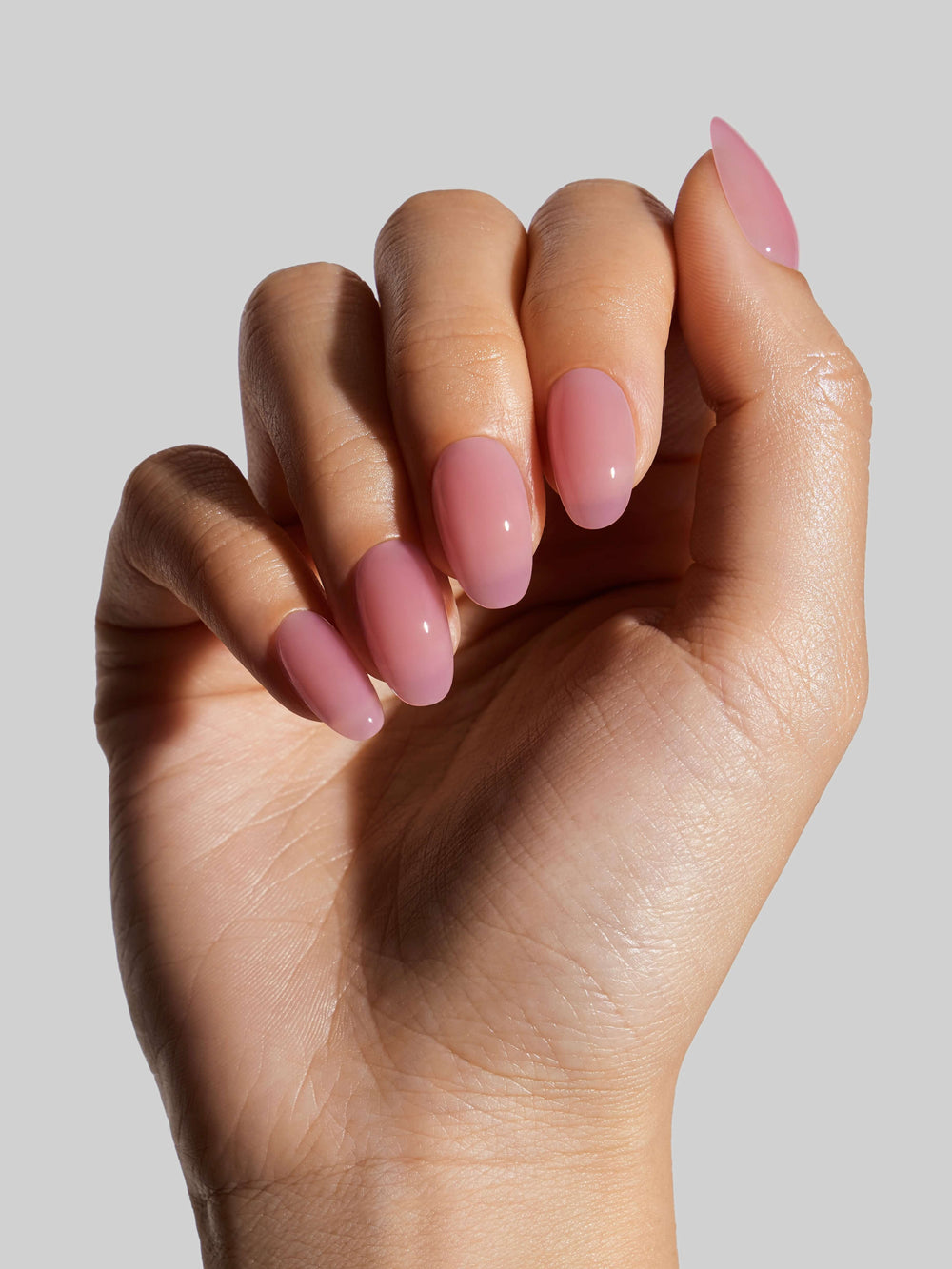 Guava (Short Round)