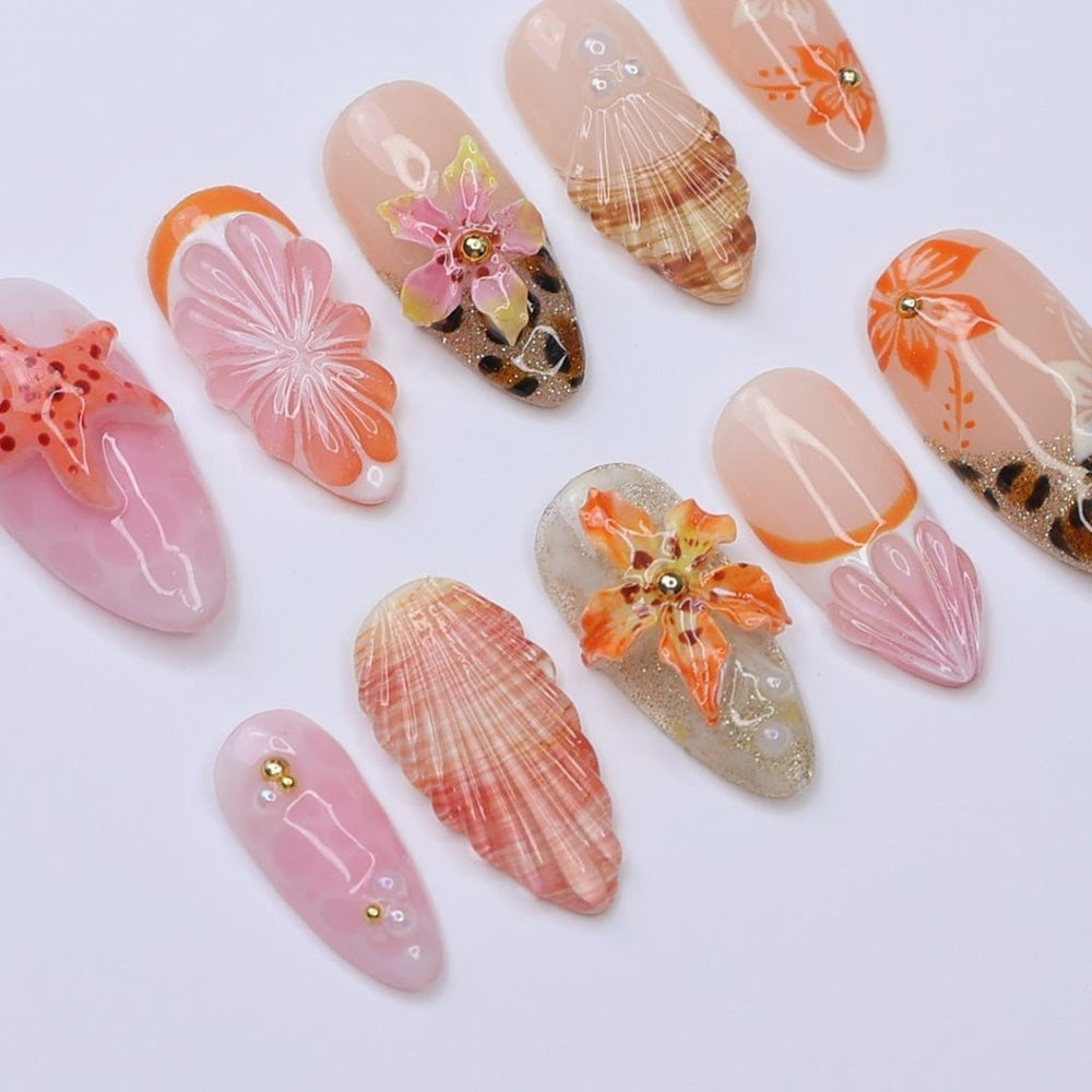Shelluxe